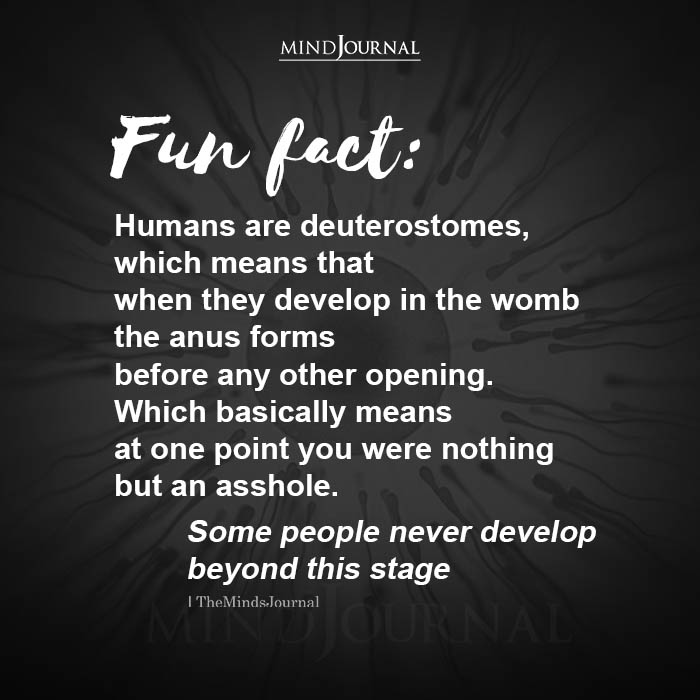 Fun fact Humans deuterostomes