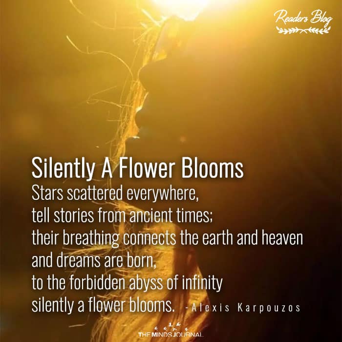 Silently A Flower Blooms