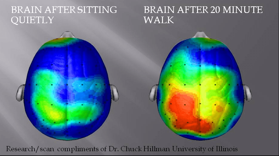 brain after exercise