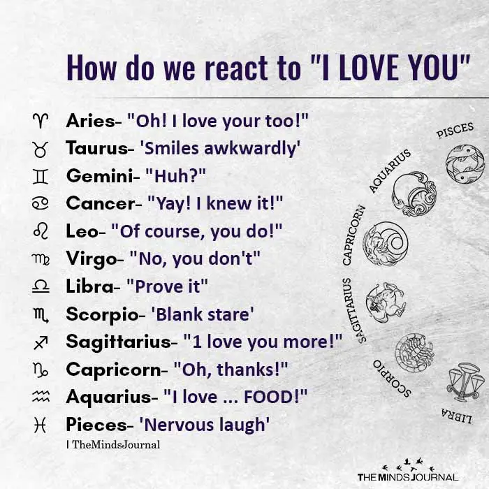 How Do We React To I Love YouAries - Oh! I Love Your Too!