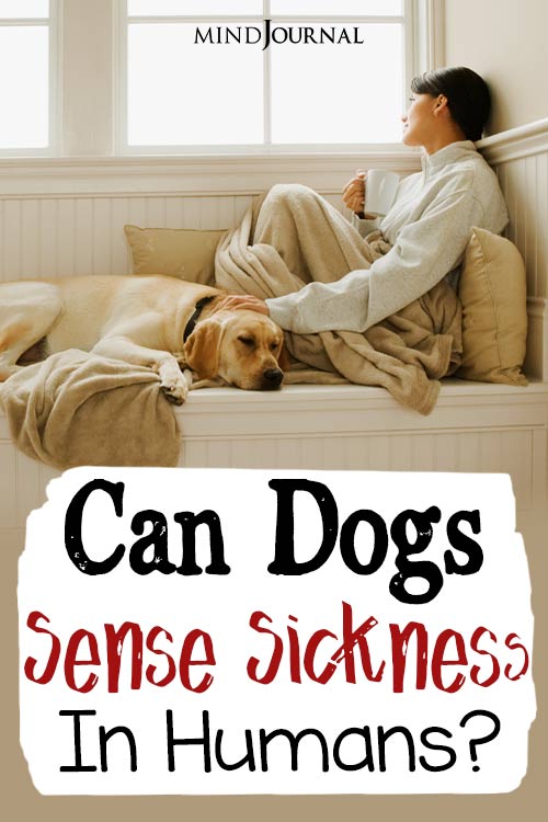 dogs sense sickness in humans pin
