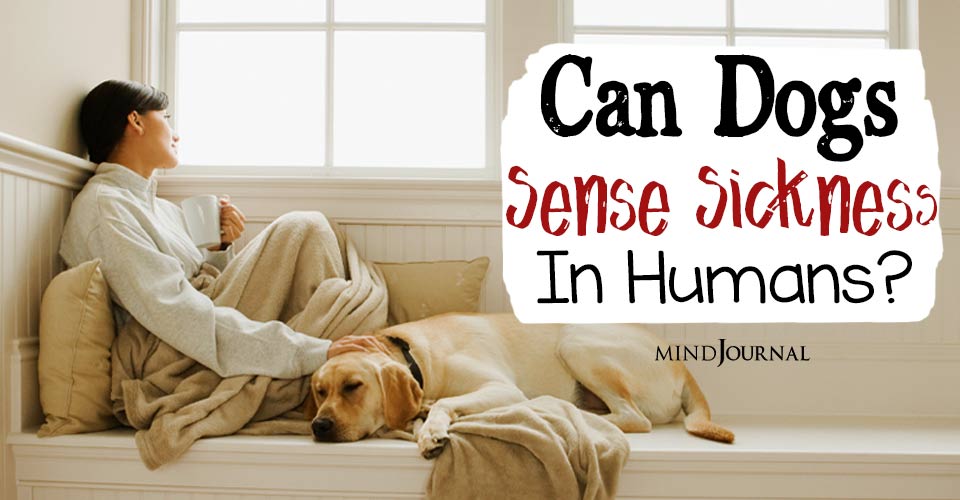dogs sense sickness in humans