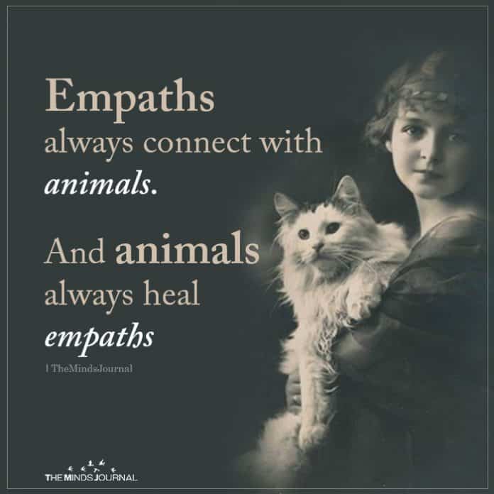 A paw full of empathy 