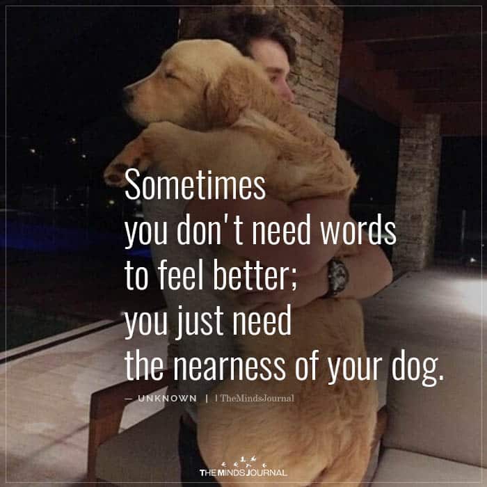 Sometimes You Don't Need Words To Feel Better; You Just Need