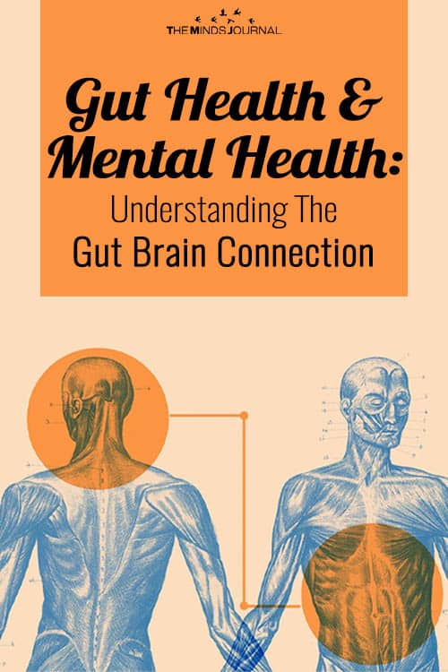 Gut Health & Mental Health: Understanding The Gut Brain Connection
