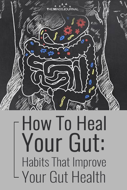 How To Heal Your Gut: Habits That Improve Your Gut Health