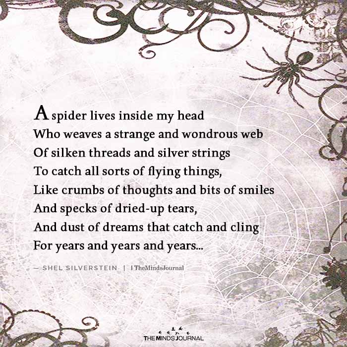 The spiritual meaning of seeing spiders can be profound yet personal.