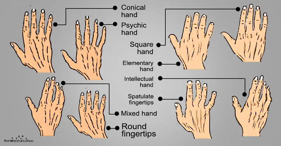 Things Your Hand Shape Could Say About Your Personality