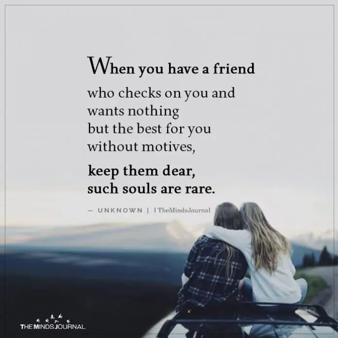 70+ True Friendship Quotes For Your Best Friend