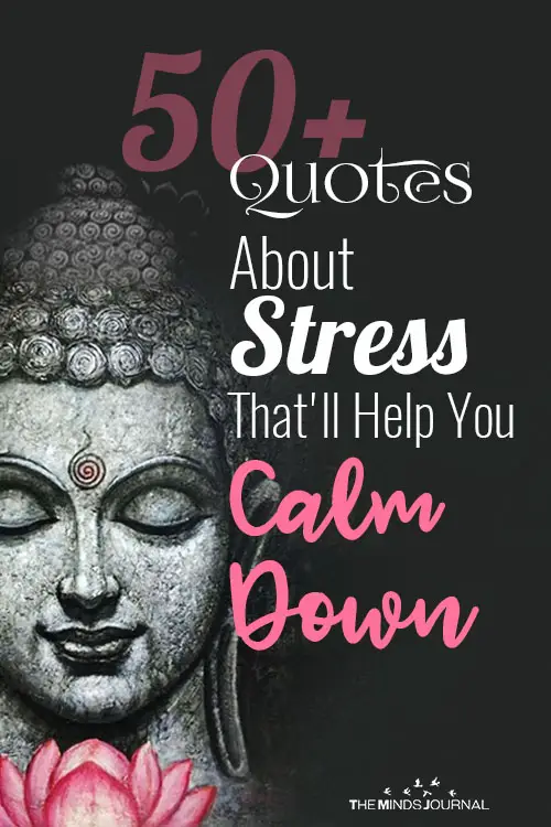 50+ Quotes About Stress That Will Help You Calm Down
