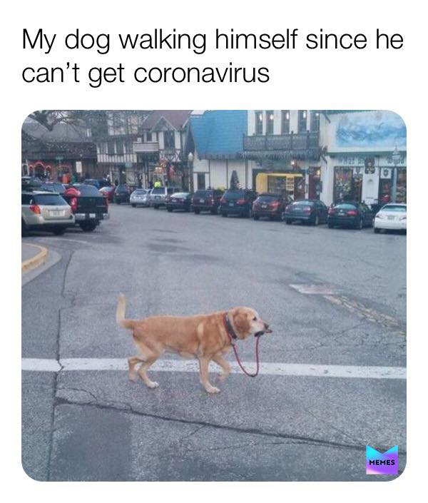 The Funniest Coronavirus Tweets and Memes To Get Through Self-Isolation