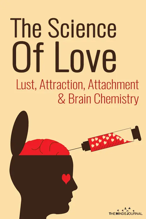 The Science Of Love: Lust, Attraction, Attachment & Brain Chemistry