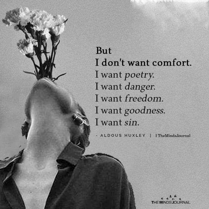 I Don’t Want Comfort I Want Poetry I Want Danger