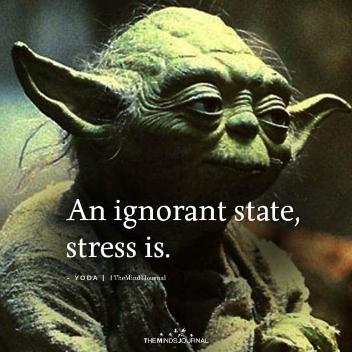 An Ignorant State, Stress Is