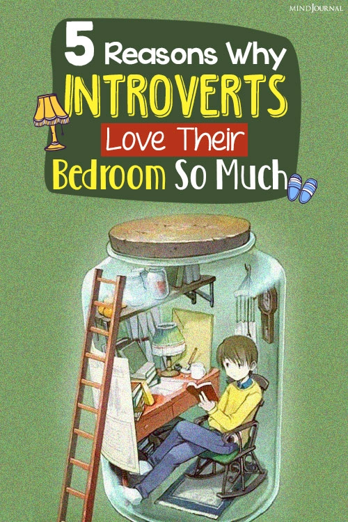 Reasons Introverts Love Bedroom pin