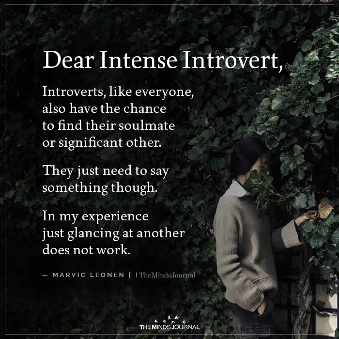 Dear Intense Introvert