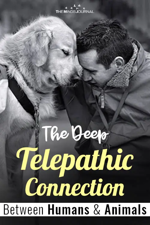 Deep Telepathic Connection Between Humans and Animals pin