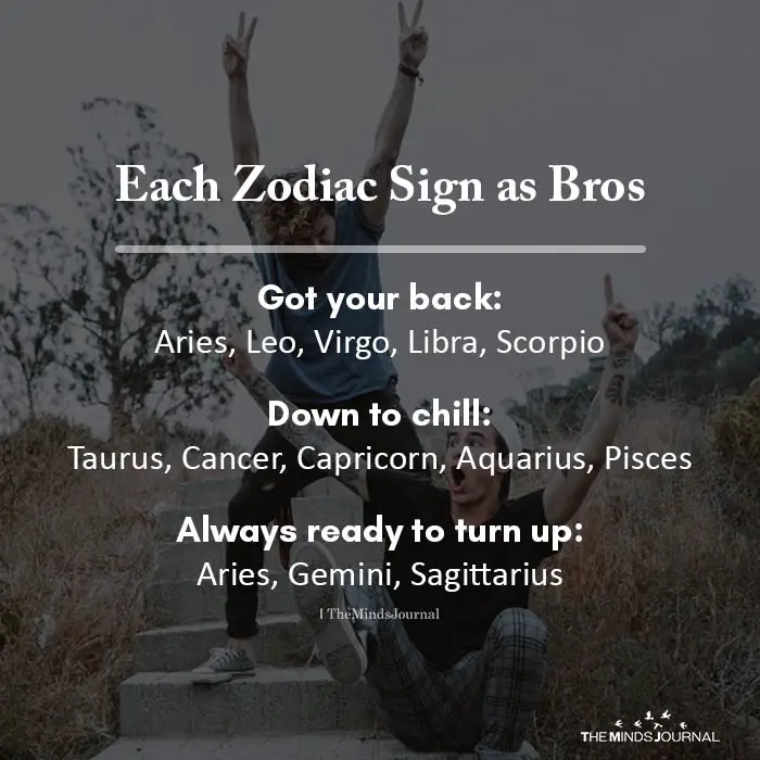 Each Zodiac Sign as Bros