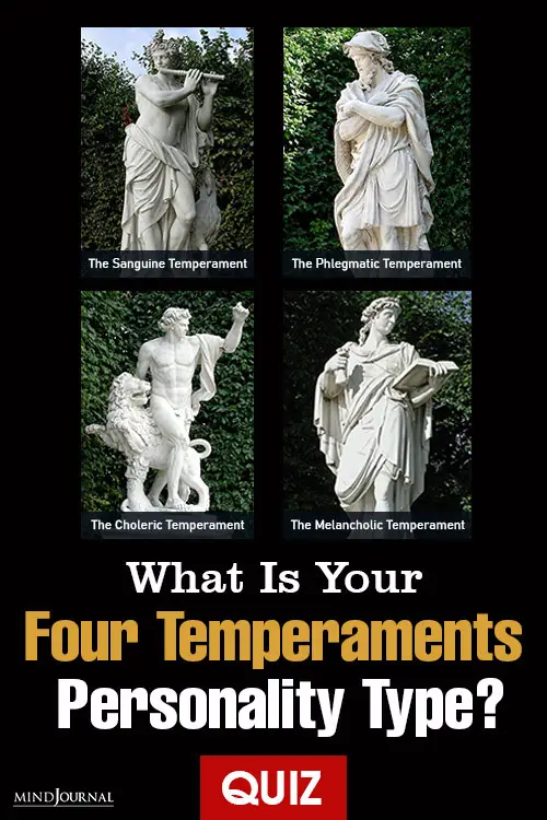 Four Temperaments Personality Type pin