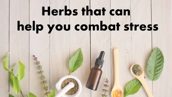 Herbs that can help you combat stress