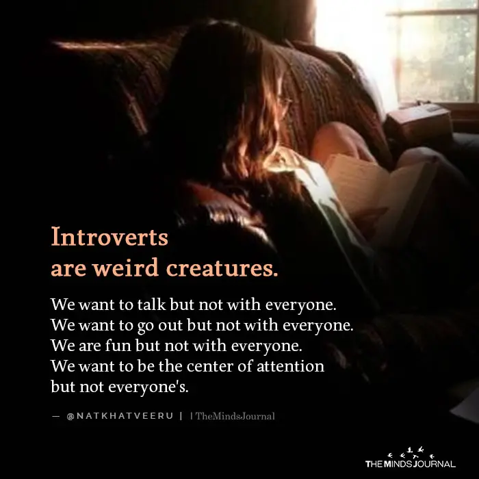 Introverts are weird creatures