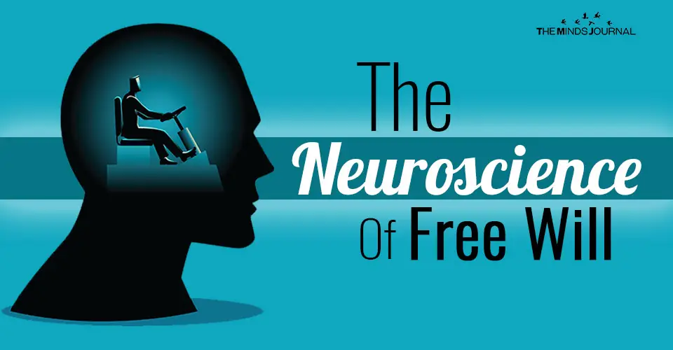 The Neuroscience of Free Will: A Q&A with Robyn Repko Waller