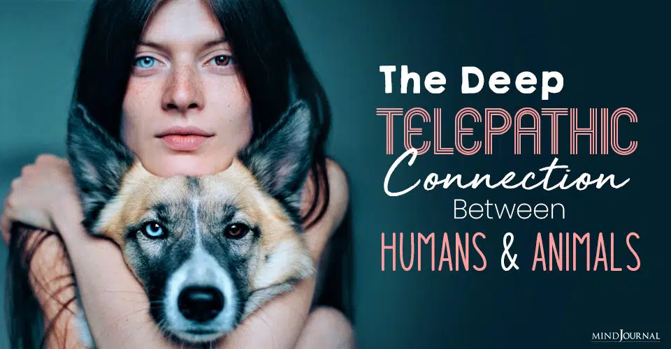Telepathic Connection Between Humans and Animals