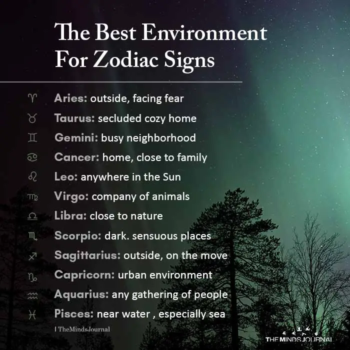 The Best Environment For Zodiac Signs