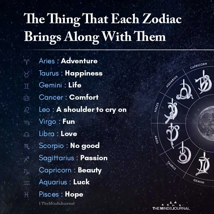 The Thing That Each Zodiac Brings Along With Them