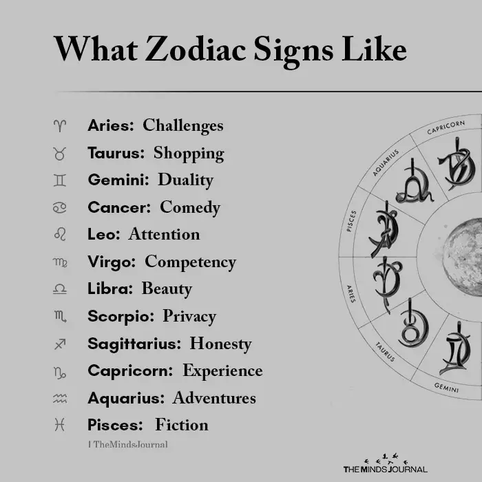 What Zodiac Signs Like