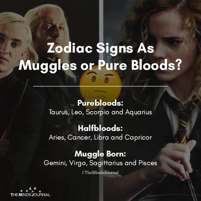 Zodiac Signs As Muggles or Pure Bloods