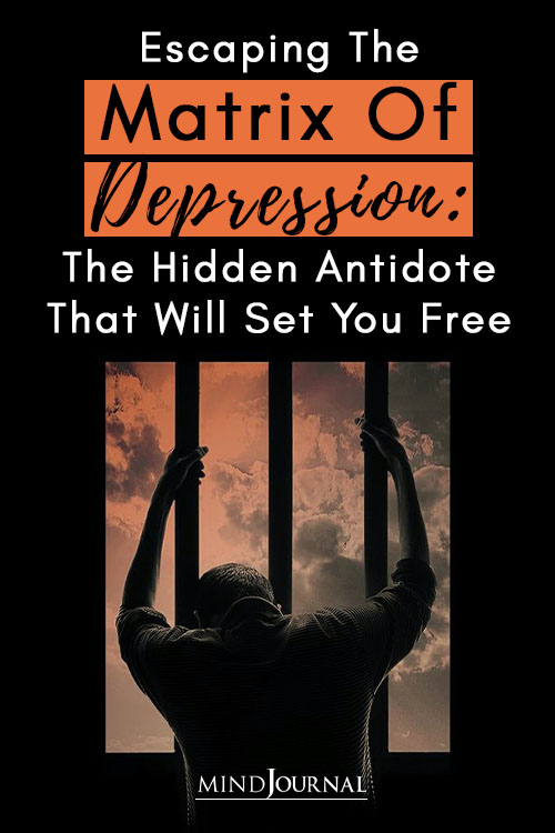 Escaping The Matrix of Depression: The Hidden Antidote That Will Set You Free