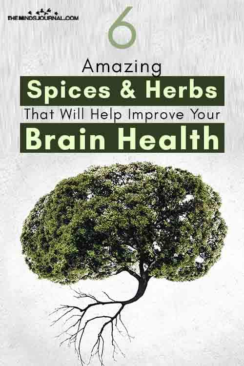 Spices Herbs Help Improve Your Brain Health Pin