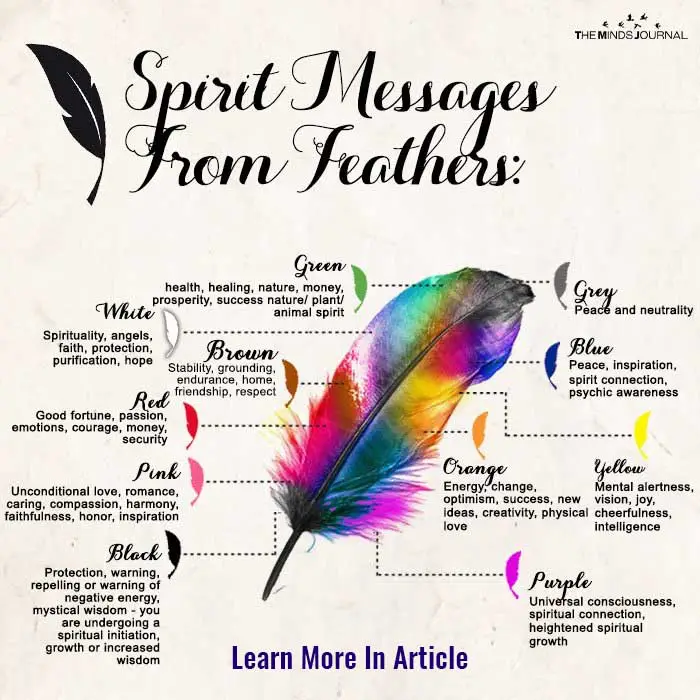 Finding a feather and the spiritual meaning behind it