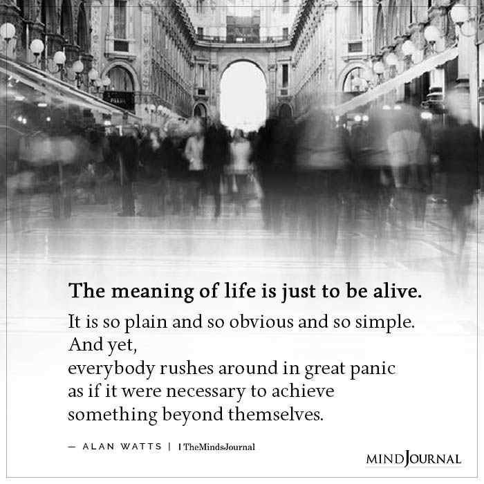 The meaning of life is just to be alive