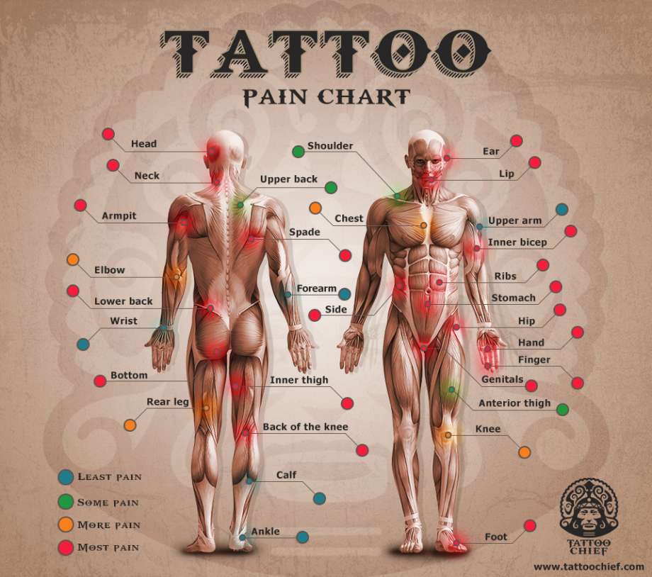 tattoo placement meaning - pain chart