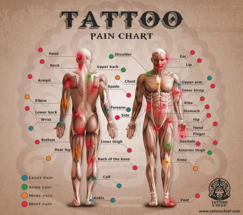 3 Ways to Choose Tattoo Placement - wikiHow
