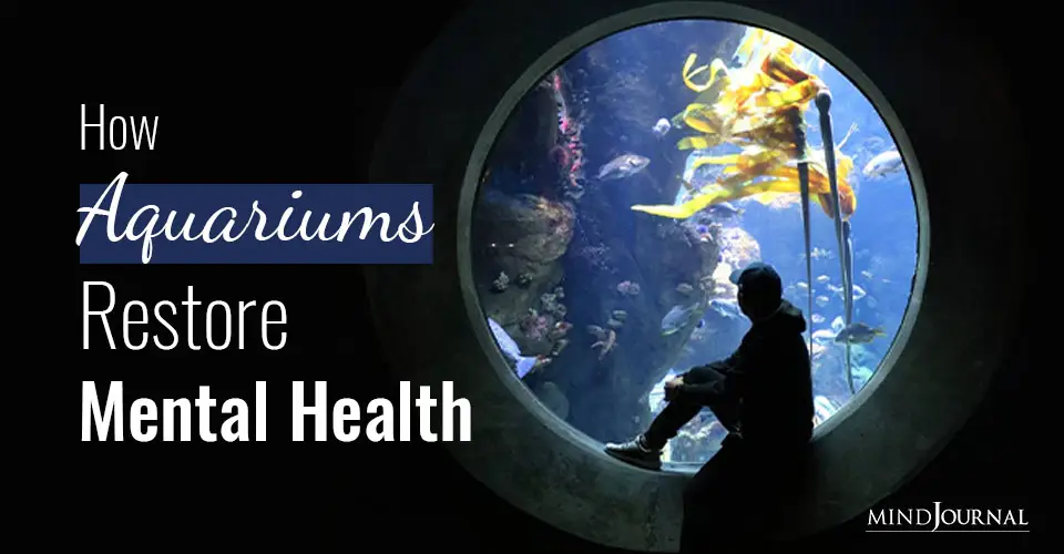 Aquarium Therapy: 6 Ways  Aquariums Help Us Restore Our Mental Health