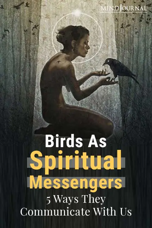 Birds Spiritual Messengers Communicate With Us Pin