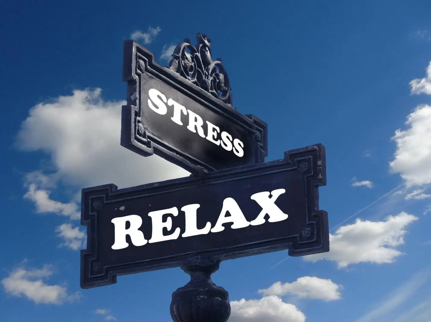 The Effect of Stress on the Immune System (And How to Relax Naturally)