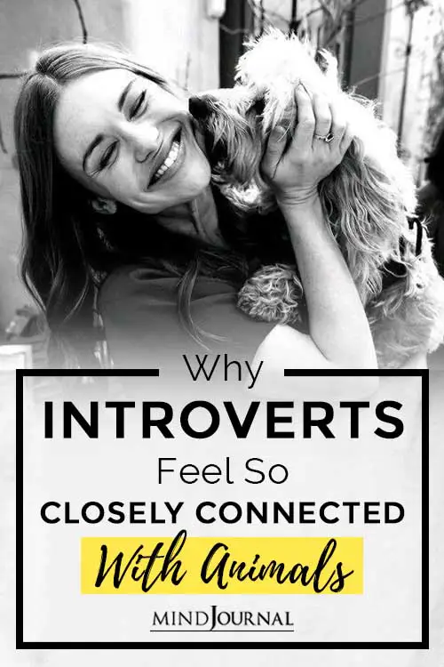 Introverts Feel Closely Connected Animals Pin