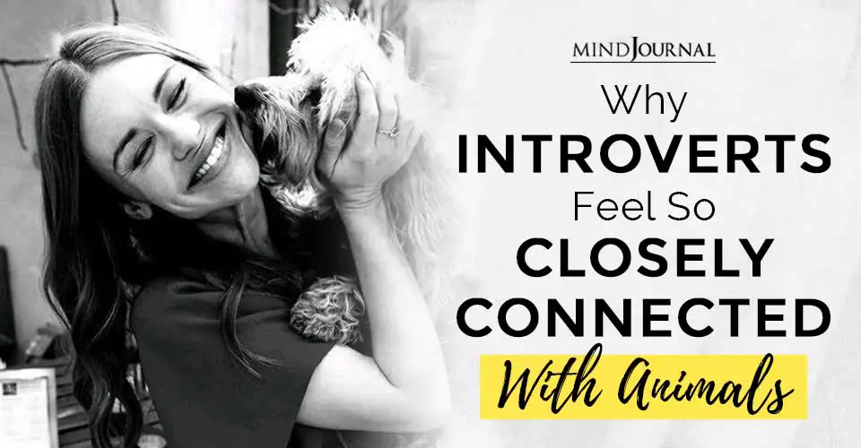 Why Introverts Feel So Closely Connected With Animals