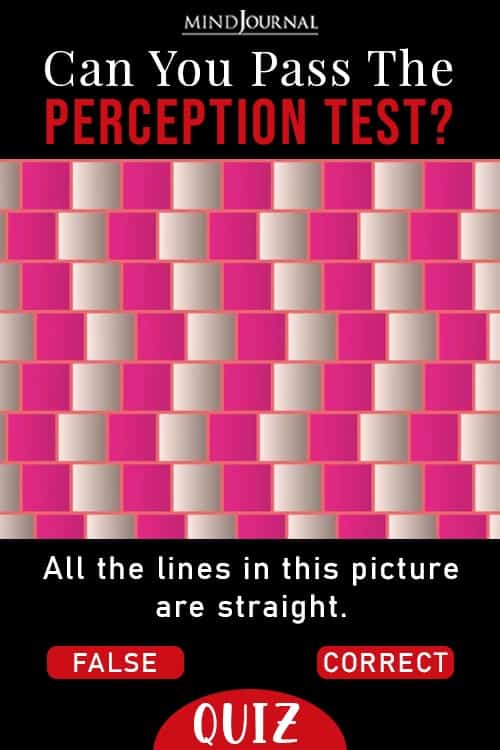 Perception Test pin