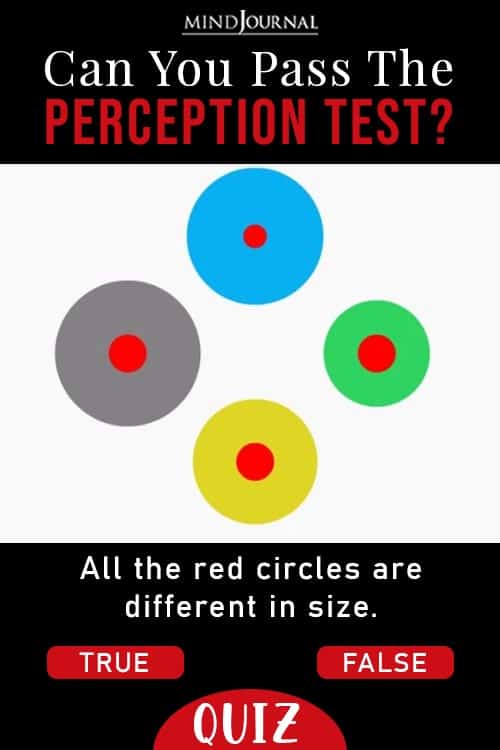 Perception Test