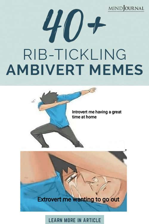 Rib Tickling Ambivert Memes Pin