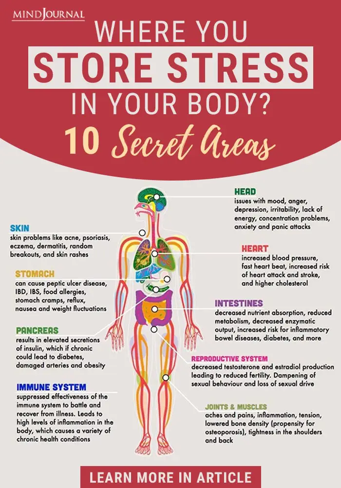 Secret Areas You Store Stress In Your Body Info