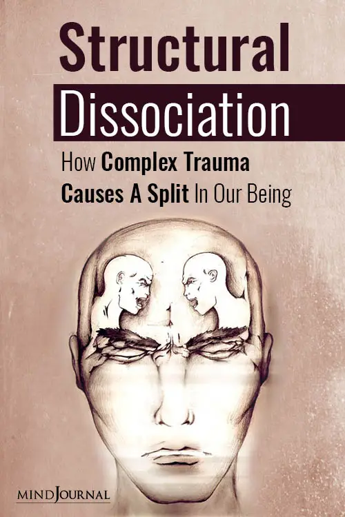 Structural Dissociation Complex Trauma Causes Split pin