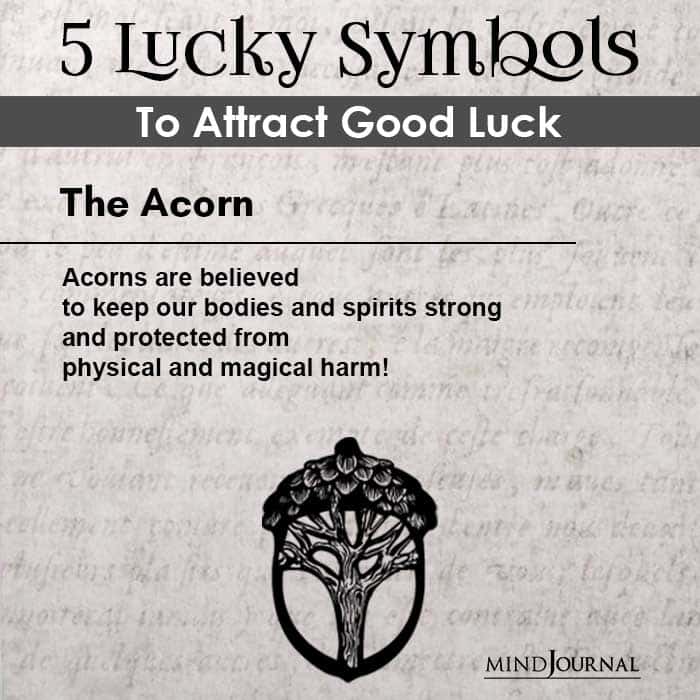 Acorn is one of the lucky symbols that can transform your life