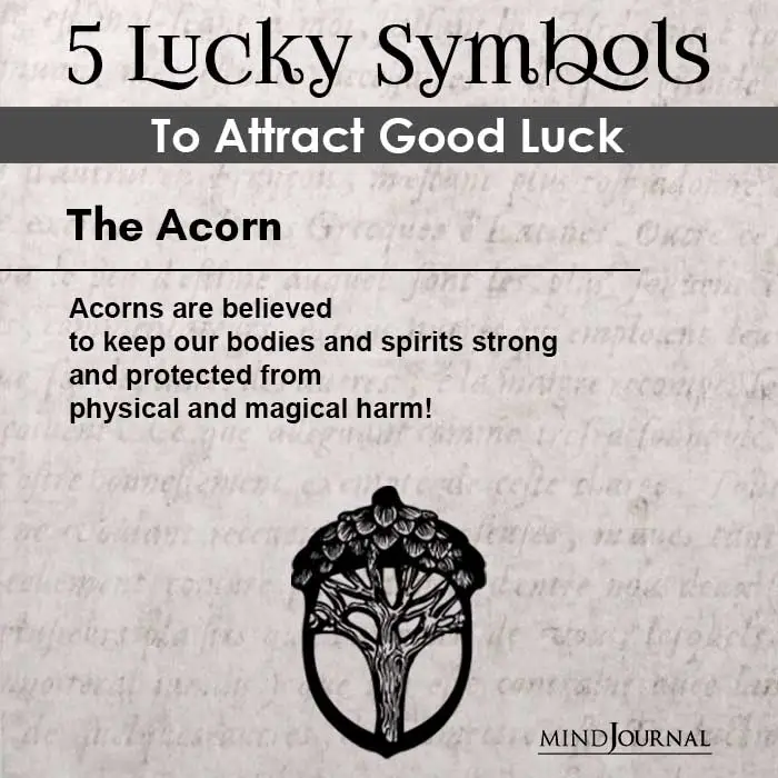 Acorn is one of the lucky symbols that can transform your life