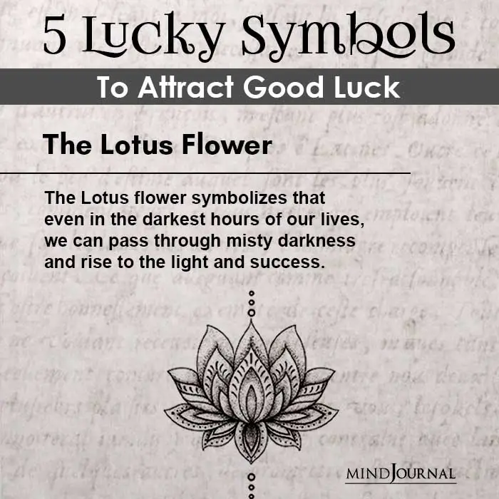 Lotus is one of the lucky symbols that can transform your life